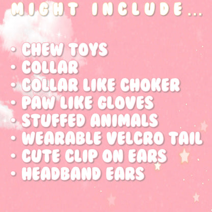 Pet Regression Pet Space, Petre Mystery Box